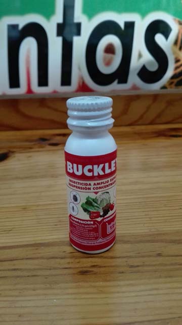 insecticida-buckley-masso